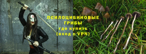 ПСИЛОЦИБИНОВЫЕ ГРИБЫ Медногорск