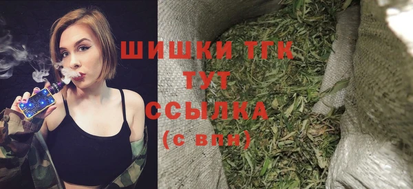 гидра Мегион