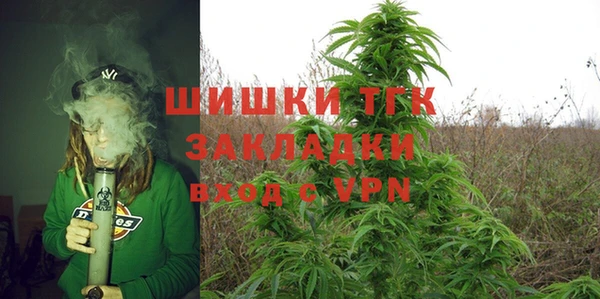 гидра Мегион