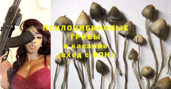 прущая мука Медвежьегорск