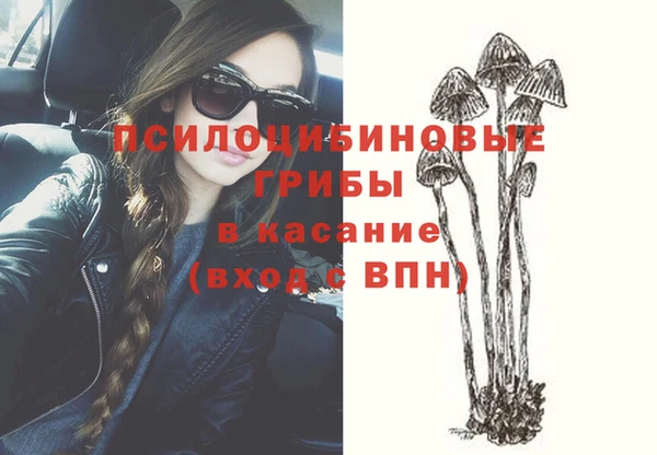 шишки Ачинск